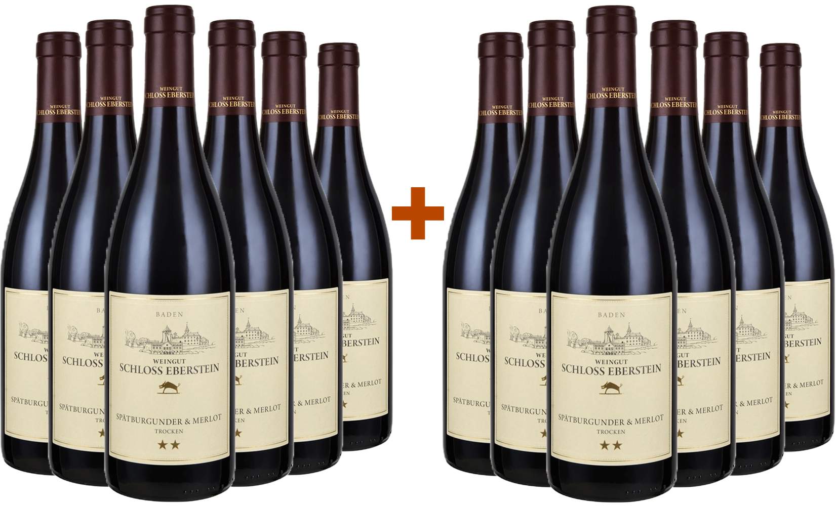 6+6 Paket Spätburgunder & Merlot **