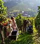 Waldulmer Winzergenossenschaft