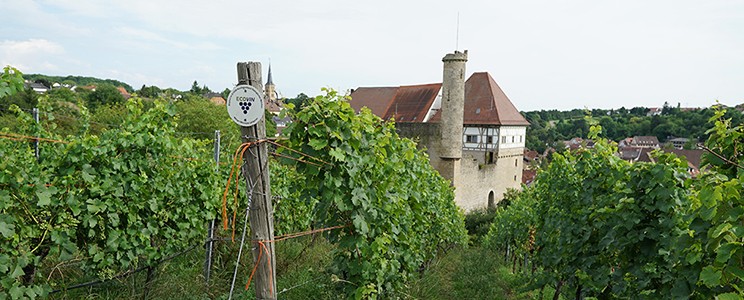Weinreuter 