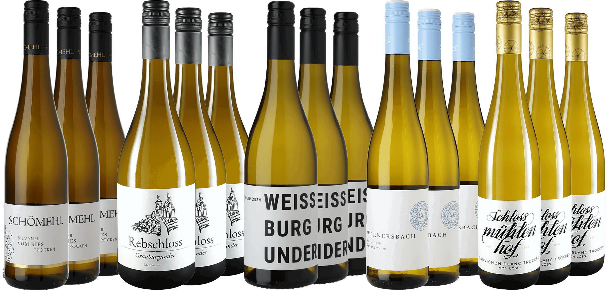 Großes Rebsorten-Paket