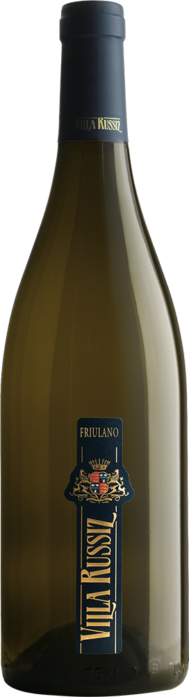 2024 FRIULANO