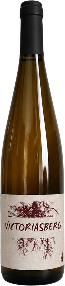 2023 Pinot Noir Victoriasberg