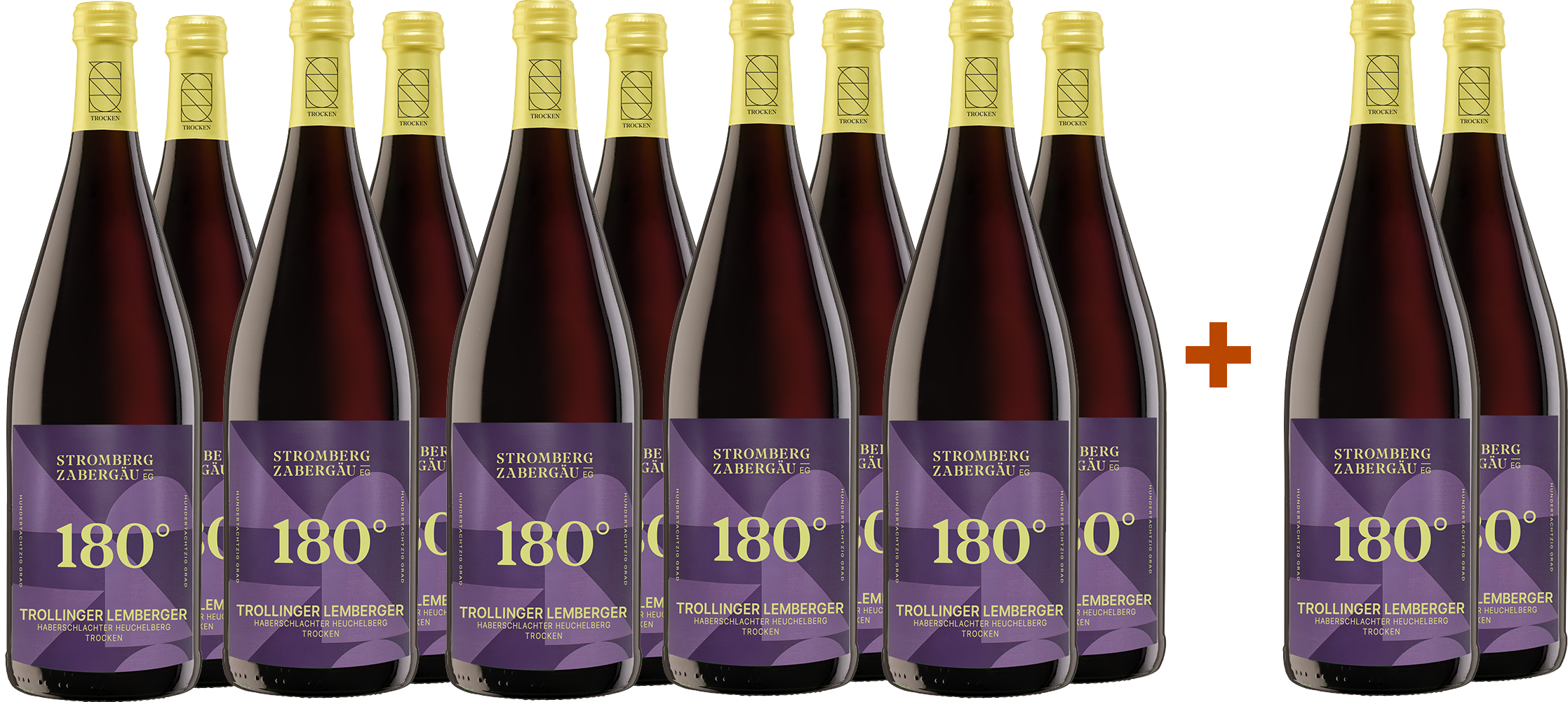 10+2 AKTION 1,0L Trollinger/Lemberger