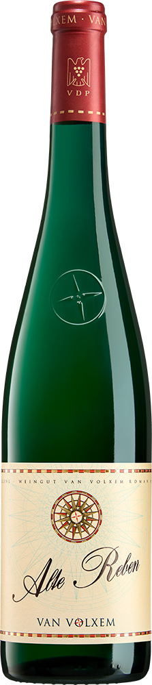 2024 Alte Reben Riesling