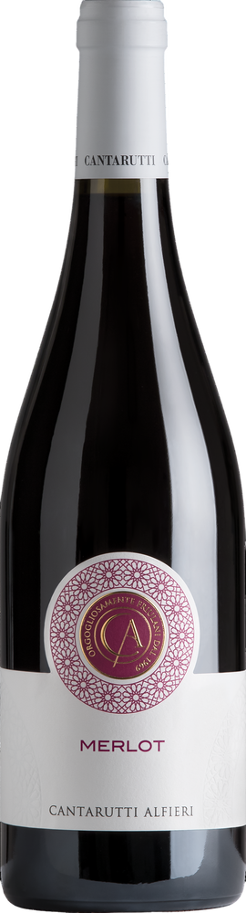 2023 Merlot Friuli Colli Orientali DOC