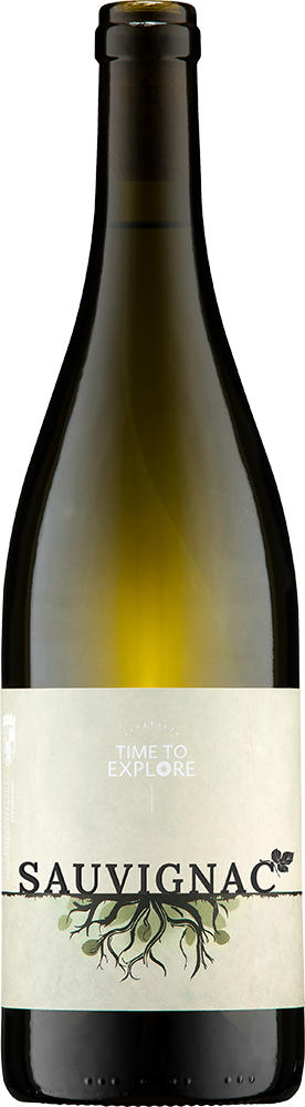 2025 Sauvignac