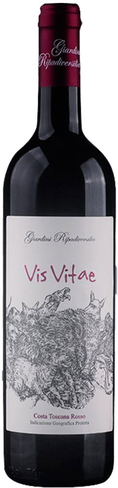 2018 Vis Vitae Costa Toscana IGP