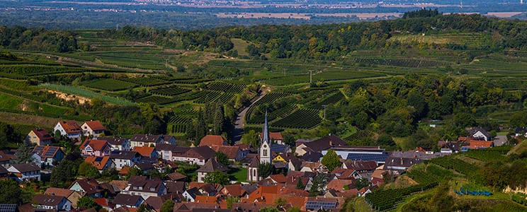 Bickensohler Weinvogtei