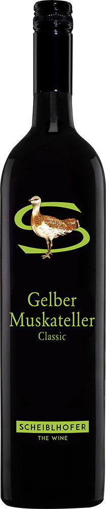 2025 Gelber Muskateller
