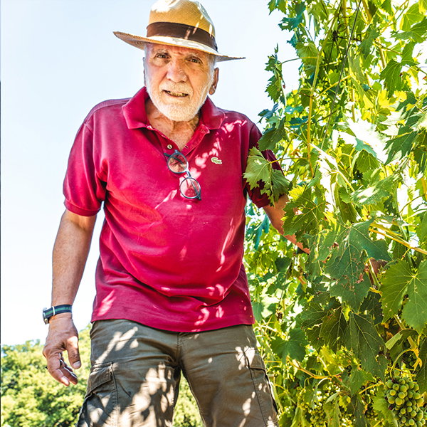 Ettore Ciancico