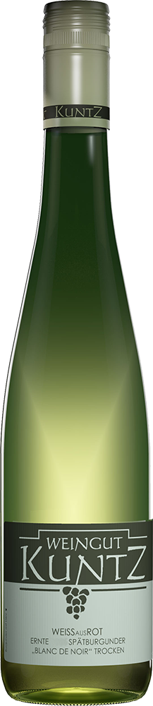 2024 WEIßausROT Spätburgunder BLANC DE NOIR "weißgekeltert" #WeinSommer - Sonderpreis