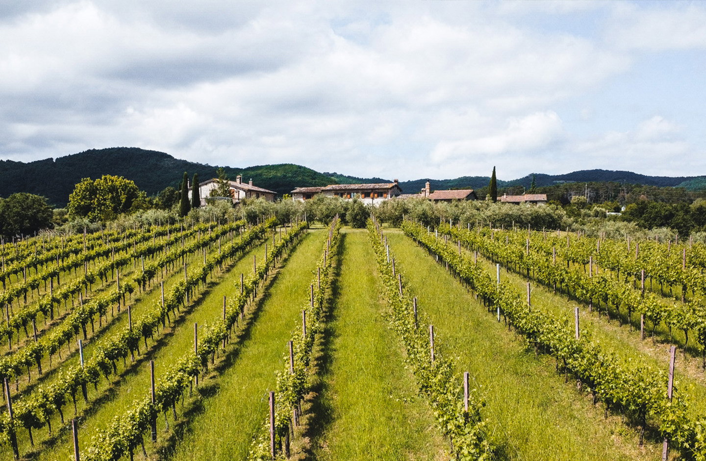 Tenuta Affaitati