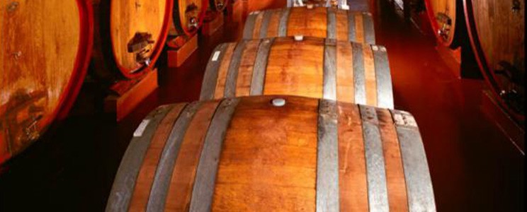 Vigna Villae in Taurasi