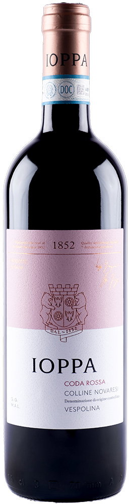 2024 Vespolina Coda Rossa Colline Novaresi DOC