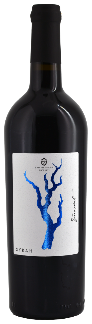 2022 Syrah Salento IGP