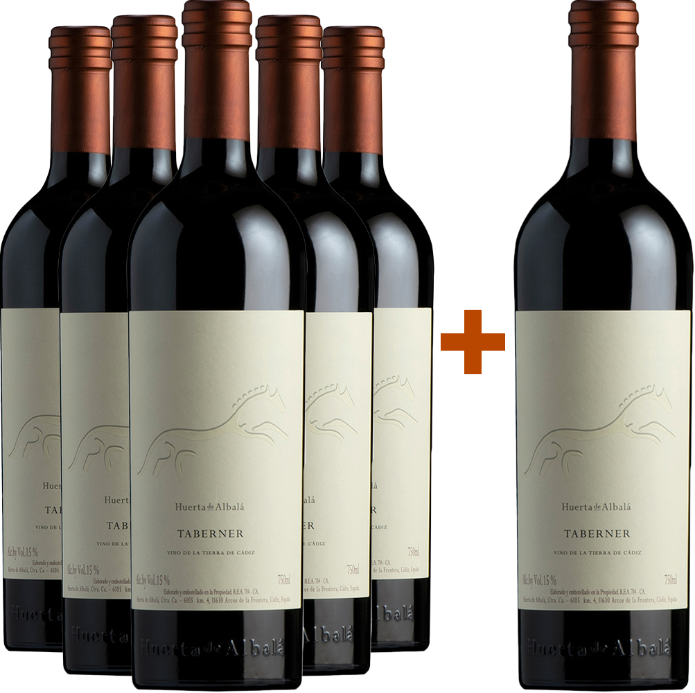 5+1 Aktionspaket Taberner Magnum Cádiz VT