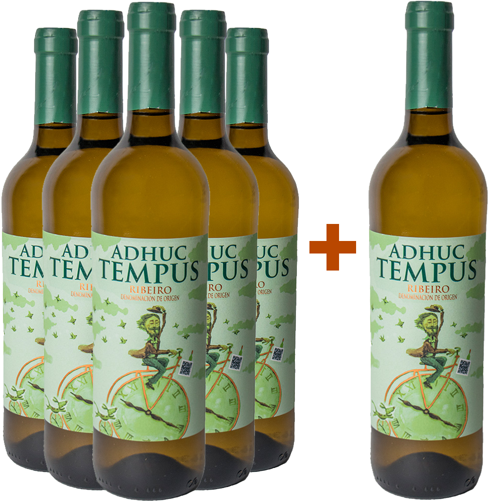 5+1 Aktionspaket Adhuc Tempus Ribeiro DO