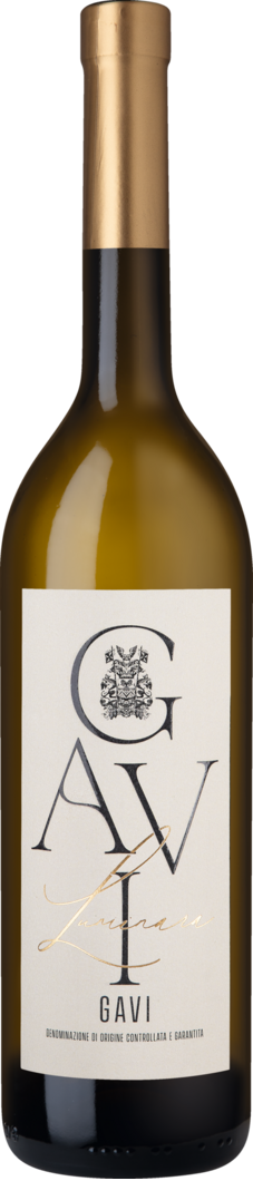 2024 Luminara Gavi