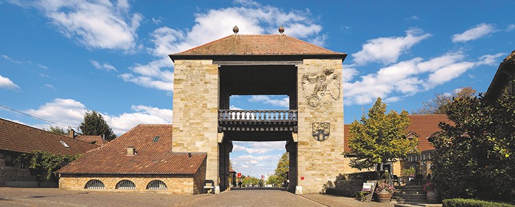 Deutsches Weintor eG