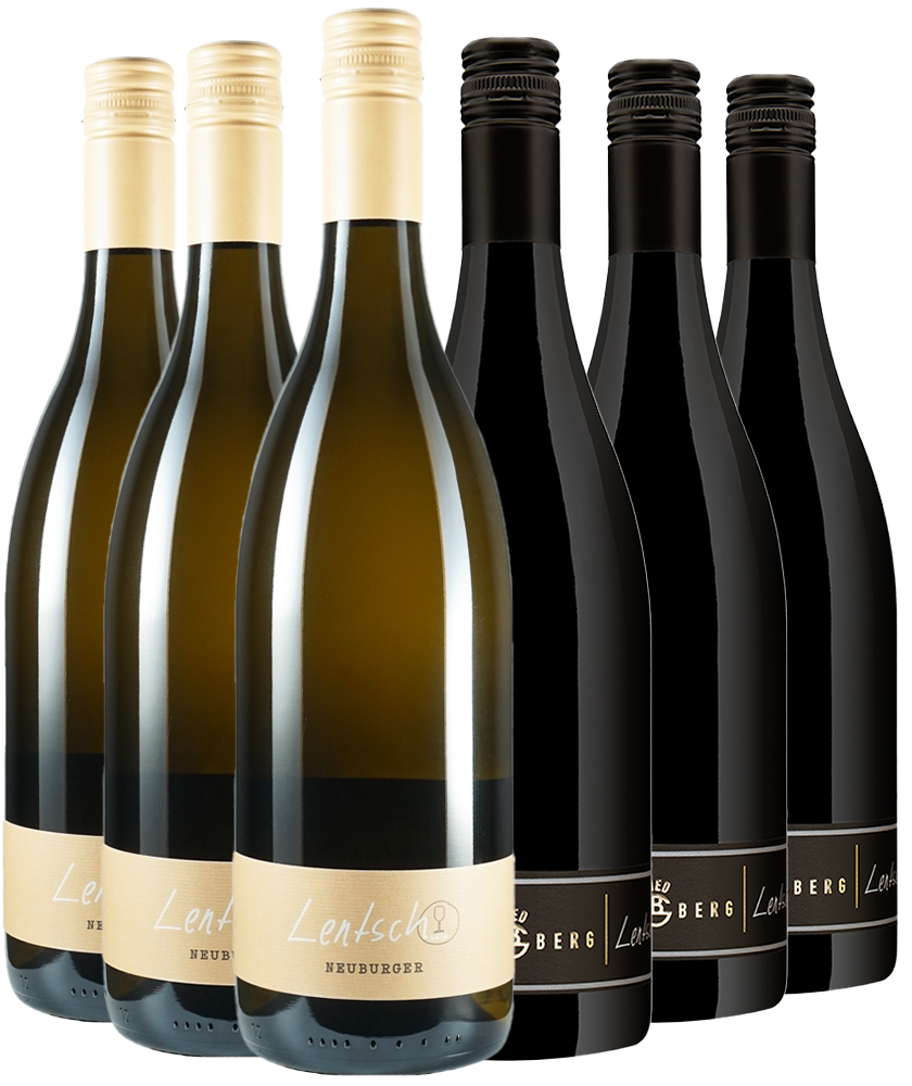 Goldberg Lagenwein Paket