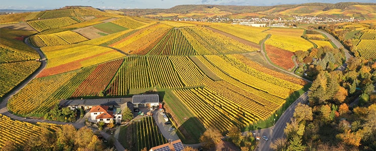 Fischer Heilbronn