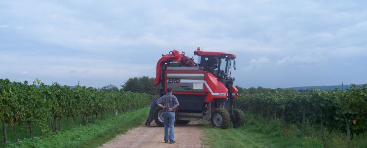 Steffen Bähr