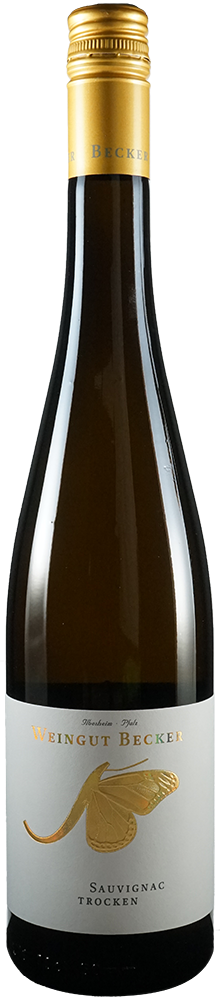 2025 Sauvignac Ilbesheimer Rittersberg BIO