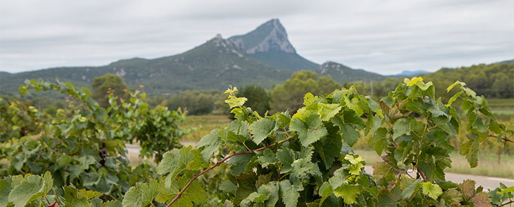 Coste Ubesse