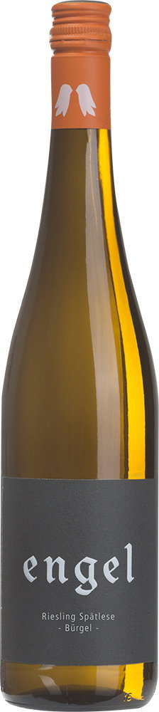 2019 Dalsheimer Bürgel Riesling Spätlese