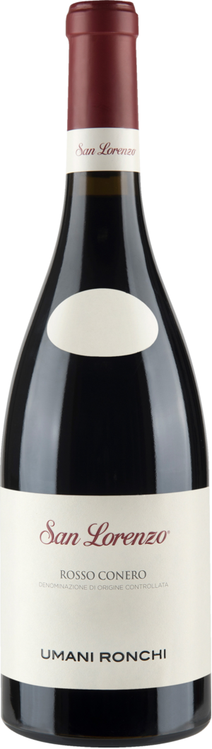 2022 San Lorenzo Rosso Conero
