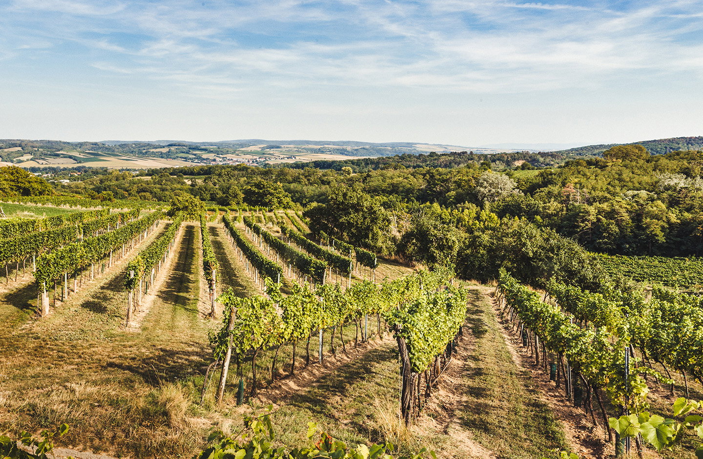 Weingut Martha & Franz Stopfer