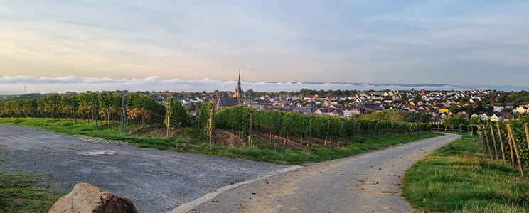 Sohlbach