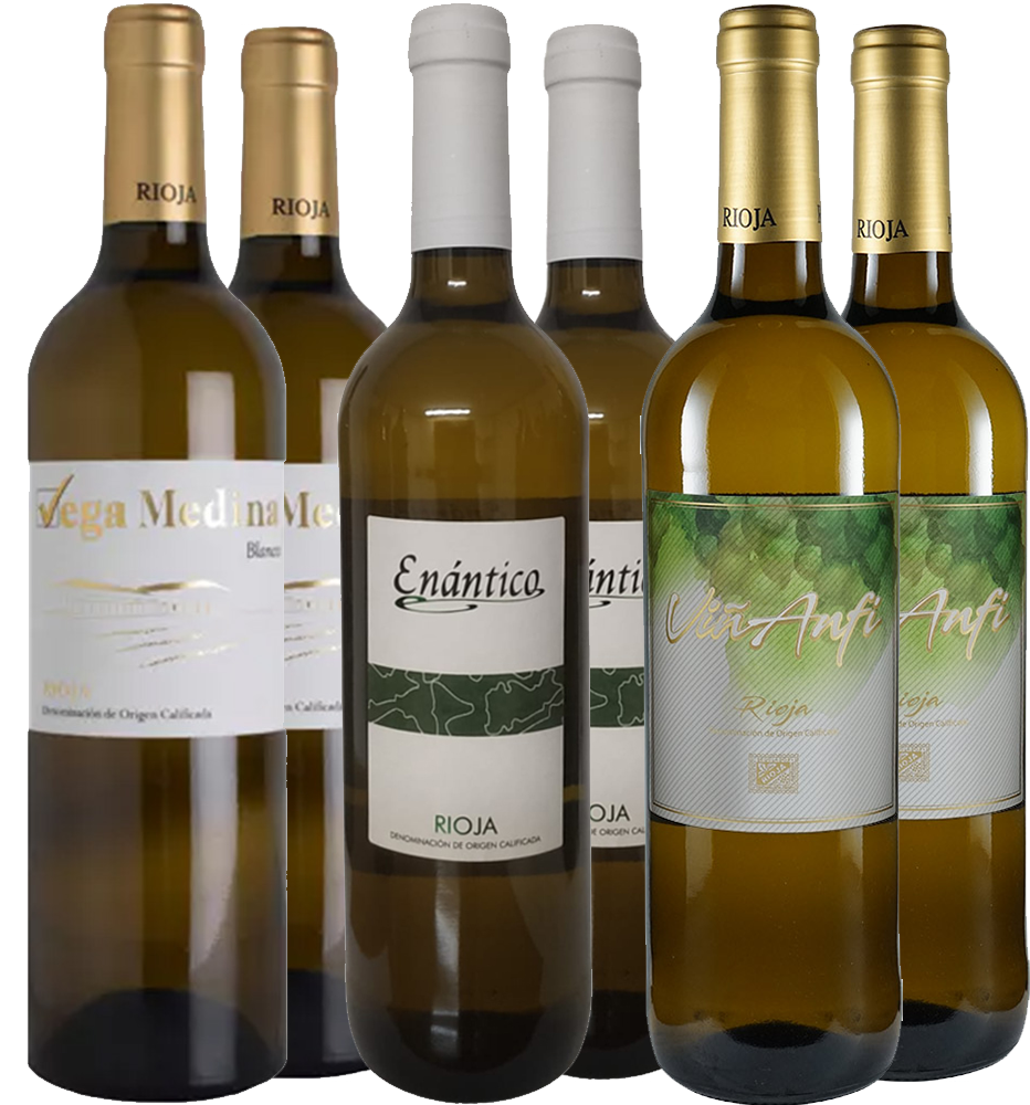 Weißwein Kennenlernpaket – Viñedos y Bodegas Lyng