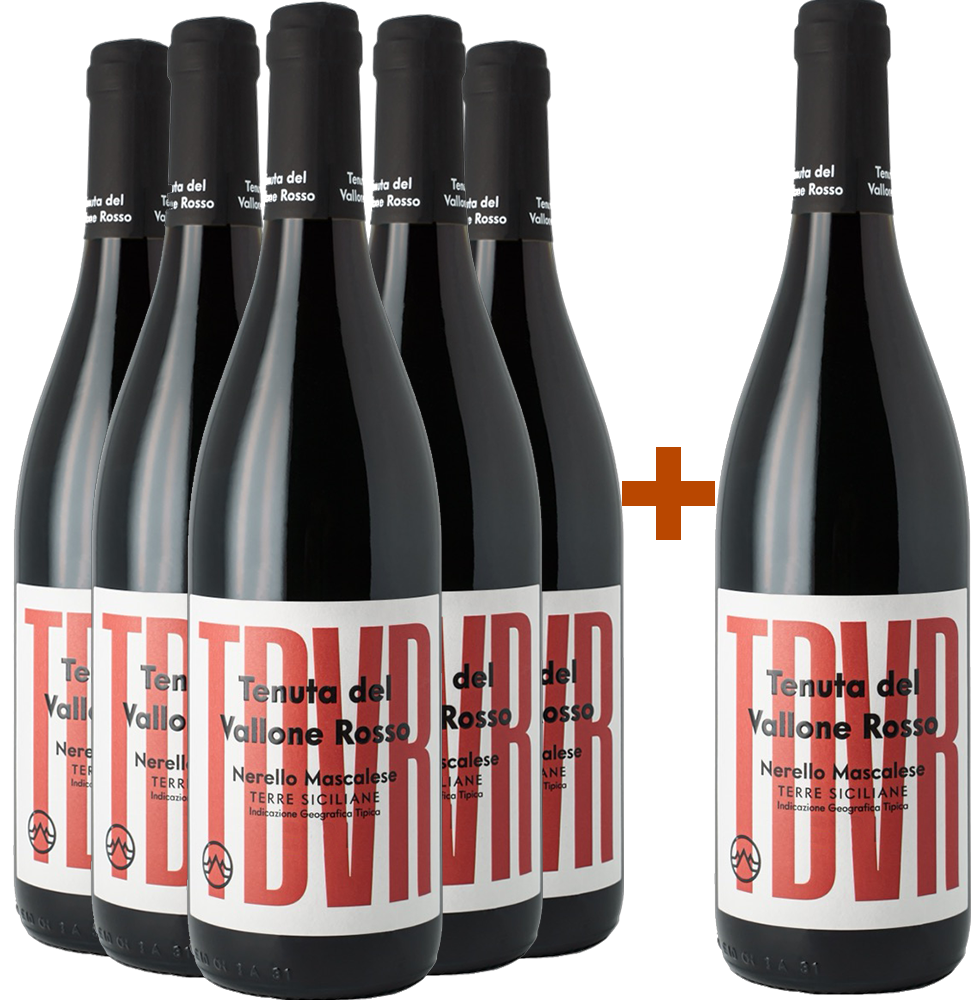 5+1 Paket TDVR Nerello Mascalese Terre Siciliane IGP 2023