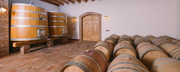 Albafiorita