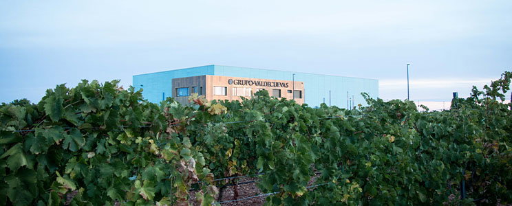 Valdecuevas