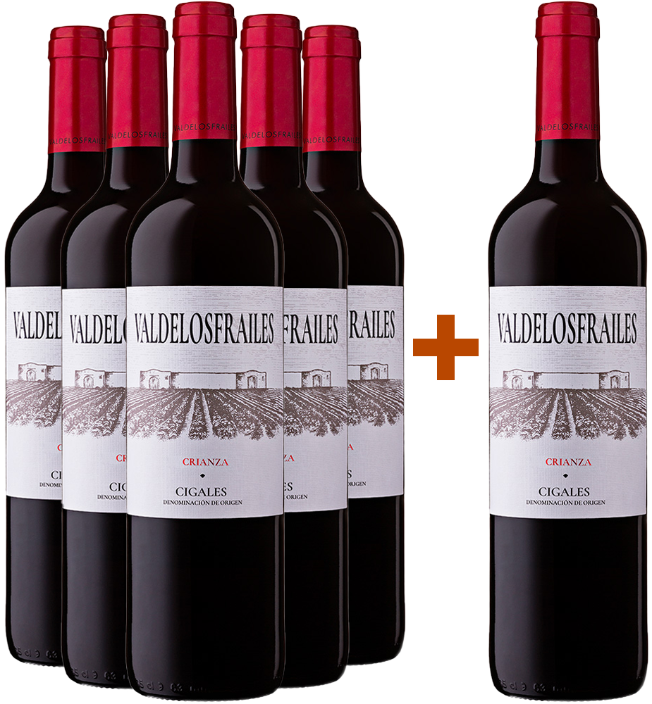 Aktionspaket 5+1 Valdelosfrailes Crianza 2021 Cigales DO