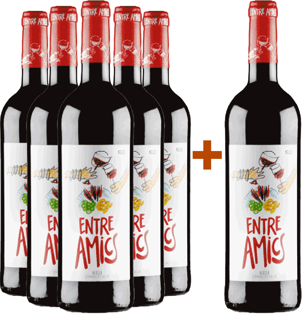 5+1 Paket Entre Amics Alella DO BIO