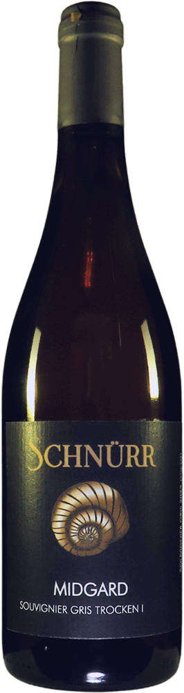 2023 MIDGARD Souvignier gris