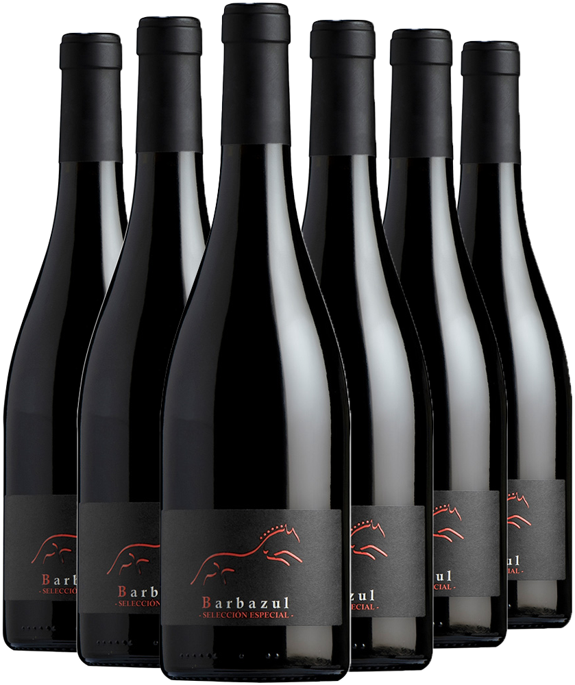 Barbazul Selección Aktionspaket Cádiz VT