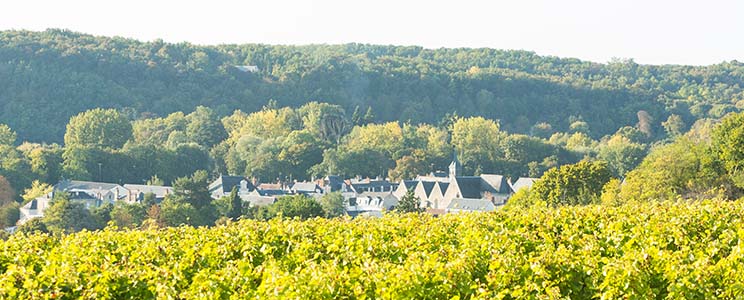 Domaine Vincent Carême