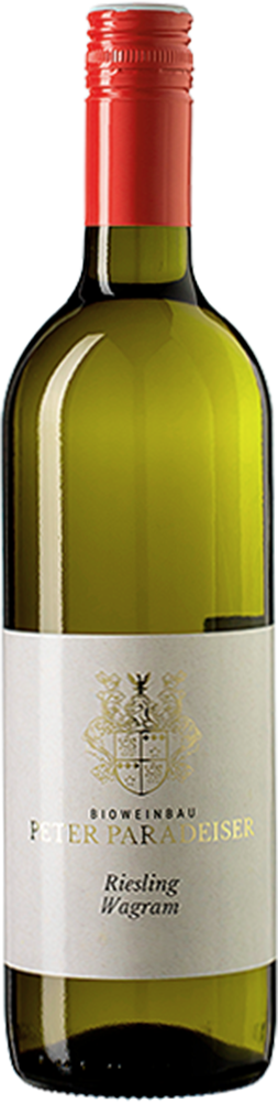 2024 Riesling Ried Scheiben BIO