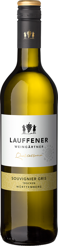 2025 Souvignier Gris