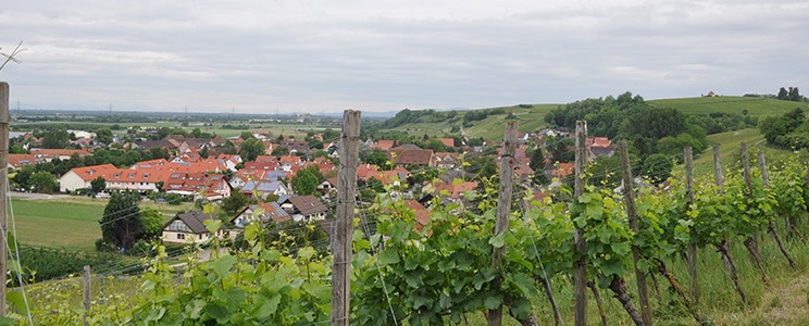 Wein & Hof Hügelheim
