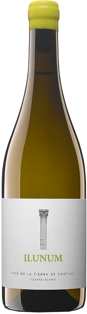 2024 Ilunum Blanco Castilla VT