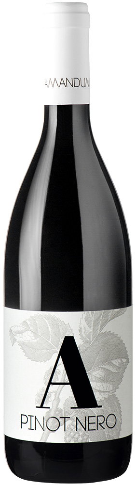 2021 Pinot Nero Friuli Isonzo DOC