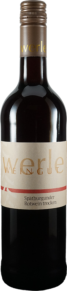 2024 Spätburgunder Rotwein