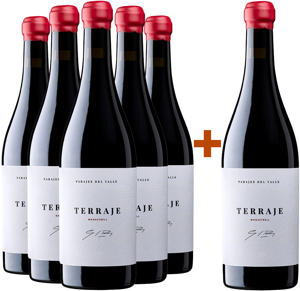 5+1 Aktionspaket Terraje 2022 Jumilla DO BIO