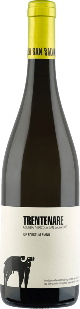 2024 San Salvatore Trentenare Fiano