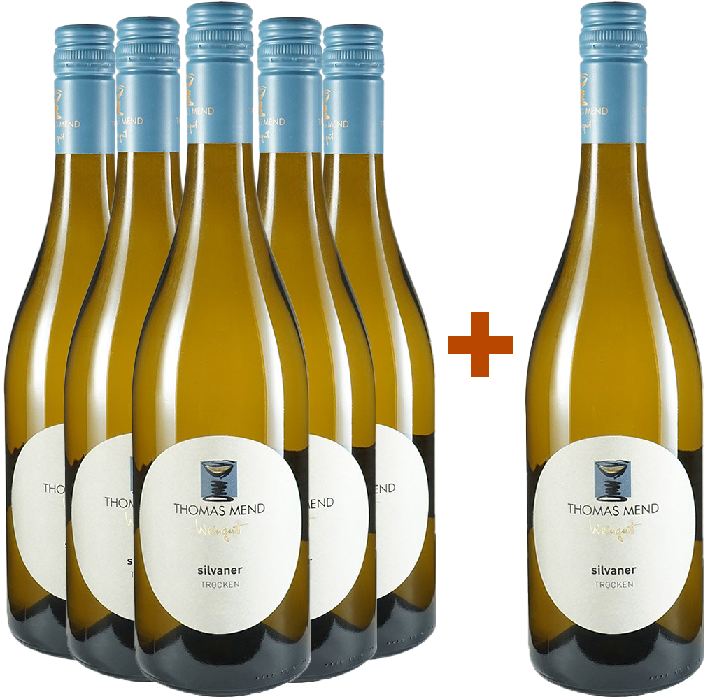 5+1 Paket Silvaner trocken 